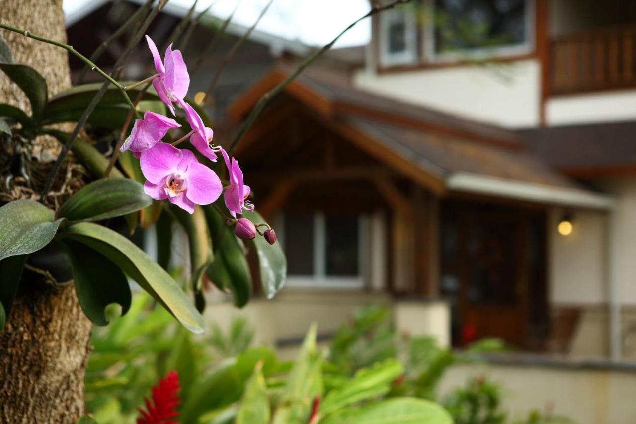 Country Story B&B Xiaying Exterior foto
